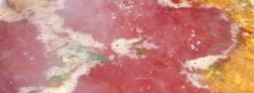 вегетарианский свекольник. Шаг 9