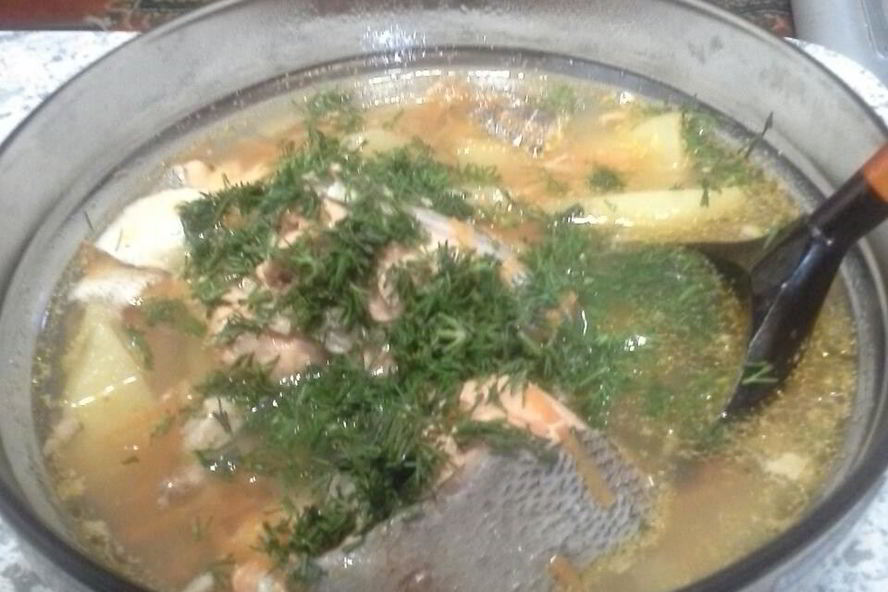 Рецепт домашней ухи