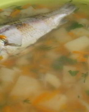 Классическая уха из карася