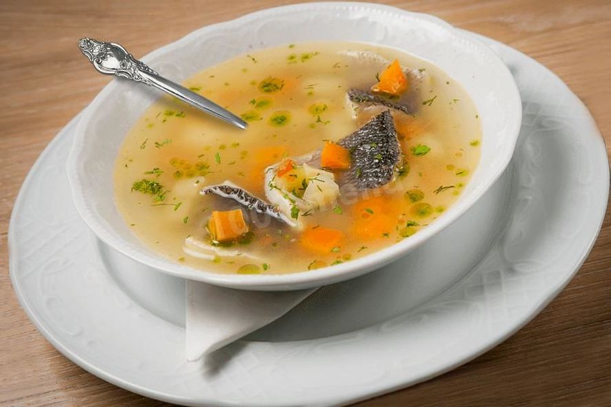 Рецепт севрюги уха