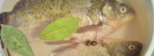 уха из карасей. Шаг 4