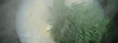 уха из карпа по-царски. Шаг 12