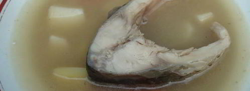 уха из карпа по-царски. Шаг 23