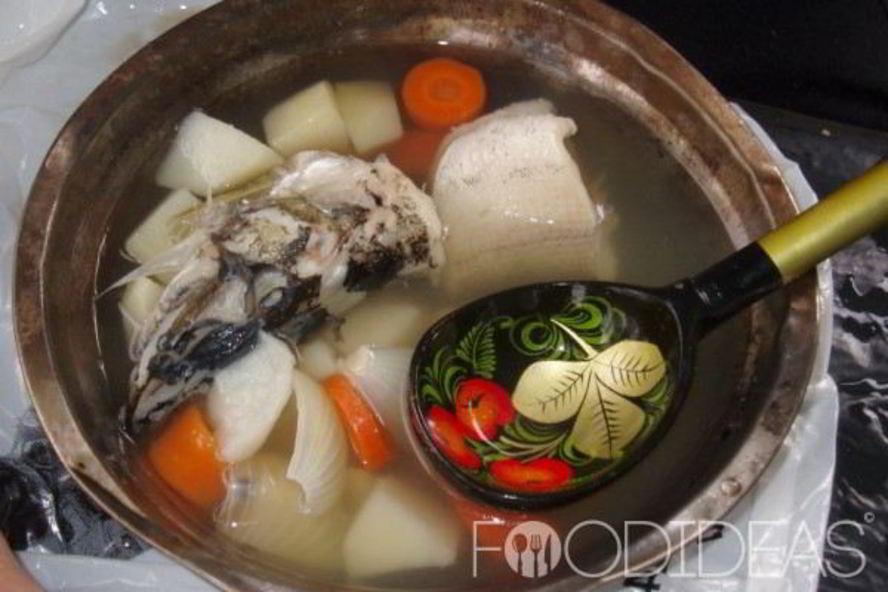 Рецепт ухи из карпа