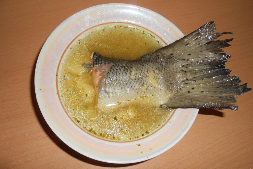 Рецепт ухи из семги с пшеном