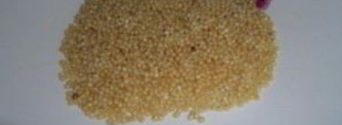 уха из семги с пшеном. Шаг 5