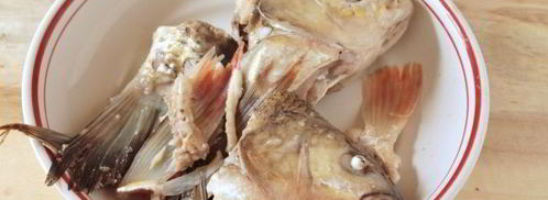 уха из язя. Шаг 11