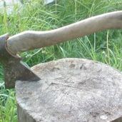 Котина Римма