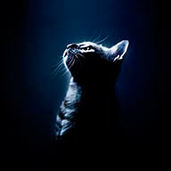 Креусова Евгения