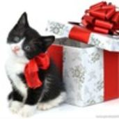 Танечка Спажева