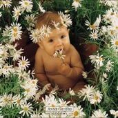 Тома Гордеев