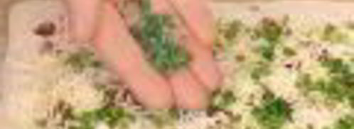 закусочные булочки с сыром и беконом. Шаг 3