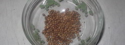 карельский черный хлеб. Шаг 5