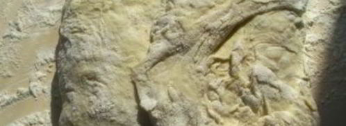 хлеб без вымешивания. Шаг 6