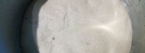 рогиатта — чиабатта на ржаной муке. Шаг 7