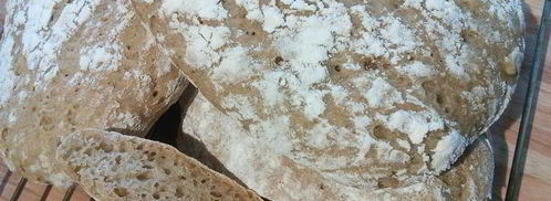 рогиатта — чиабатта на ржаной муке. Шаг 11