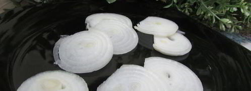 конвертики с семгой. Шаг 5