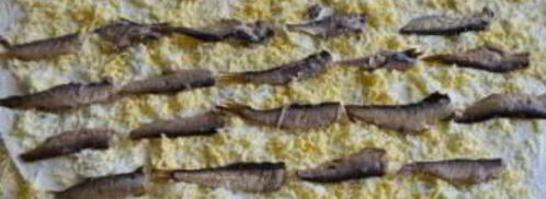 лаваш со шпротами. Шаг 4