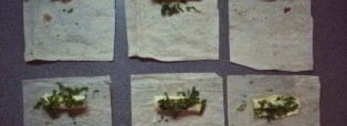 сулугуни в лаваше на сковороде. Шаг 3