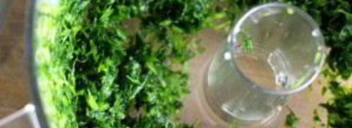 пита с фаршем и овощами. Шаг 4