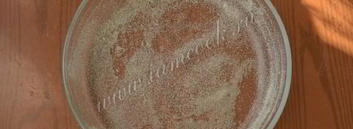 манник на кефире с творогом. Шаг 8