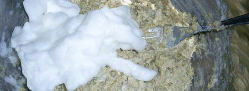 овсяное печенье без муки мегаореховое. Шаг 8