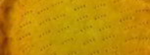 киш с индейкой, шпинатом и рикоттой. Шаг 4