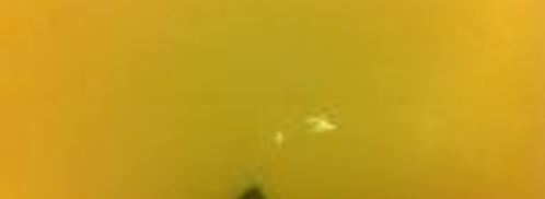 киш с индейкой, шпинатом и рикоттой. Шаг 8