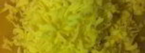 киш с индейкой, шпинатом и рикоттой. Шаг 9