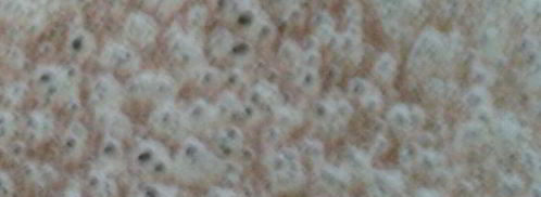 рыбный пирог на гречневых блинах. Шаг 6