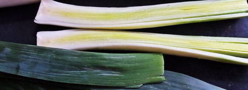 сырный пирог-рулет. Шаг 12