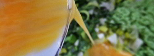 сырный пирог-рулет. Шаг 15