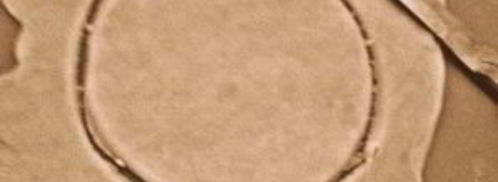 пирожки из ржаной муки. Шаг 6