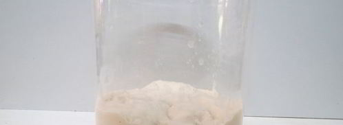 жареные пирожки лапоточки. Шаг 5