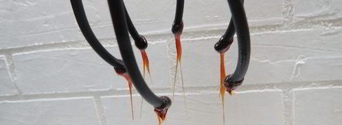 елочка из пирожных шу с пломбирным кремом. Шаг 25