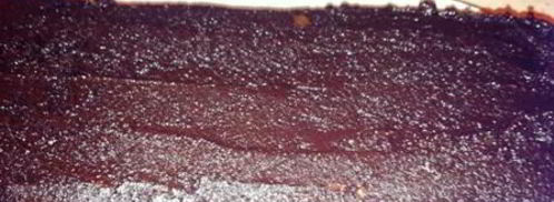 пряник из италии panpepato. Шаг 14