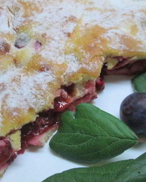 Шарлотка сметанная Слава сливам