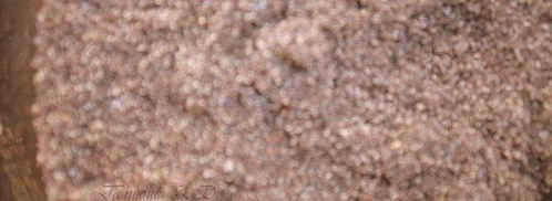 штрудель из творожного теста без яиц. Шаг 4