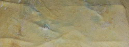 штрудель с яблоками воскресный. Шаг 8