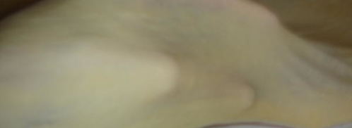 тесто фило и яблочный штрудель из него. Шаг 15