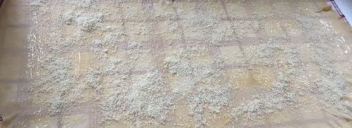 яблочно-сливовый штрудель с ванильным соусом. Шаг 7