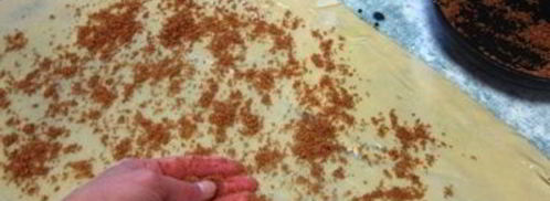 яблочный штрудель с грецкими орехами. Шаг 16