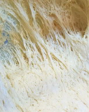 Медовое дрожжевое тесто