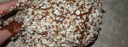 шоколадное тесто на дрожжах для выпечки. Шаг 8