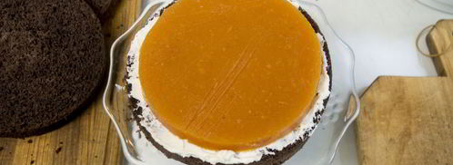 абрикосовый торт. Шаг 14