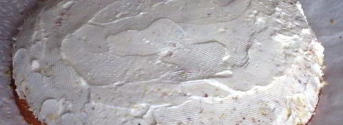 торт черепаха. Шаг 14