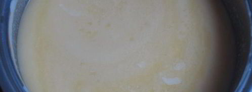 торт черепаха. Шаг 7