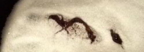 торт сникерс с карамелью. Шаг 12