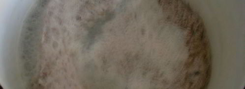 консоме с профитролями. Шаг 11