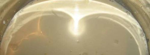 заварные булочки с кремом. Шаг 19